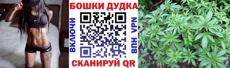 Где купить Шиханы Канабис  Мефедрон  Alpha-PVP  ГАШ  Кокаин 