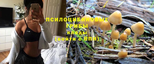 спиды Белокуриха