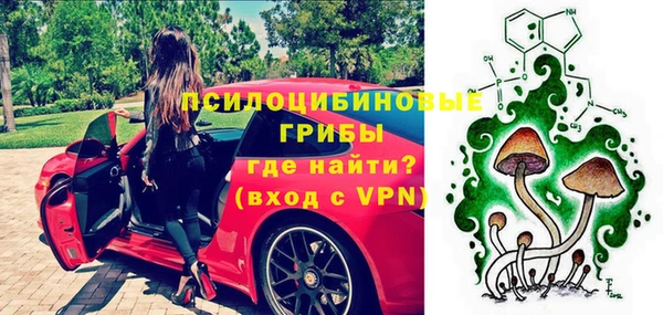 крисы Балахна